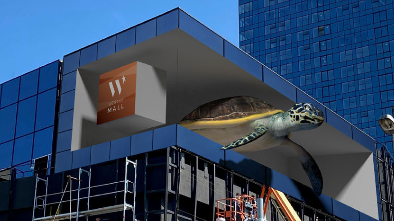 810ffe5a244ccdc457ec46fee9847008