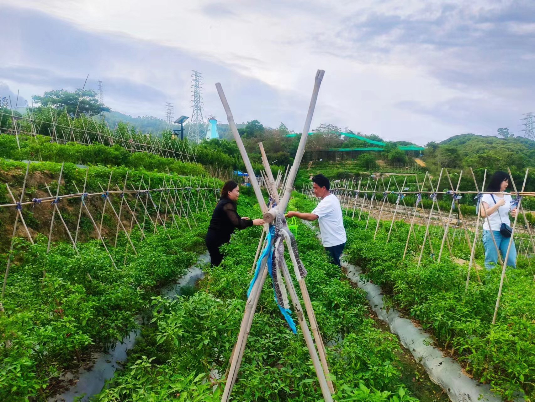 59899a18f99610a3b22529f9513249c