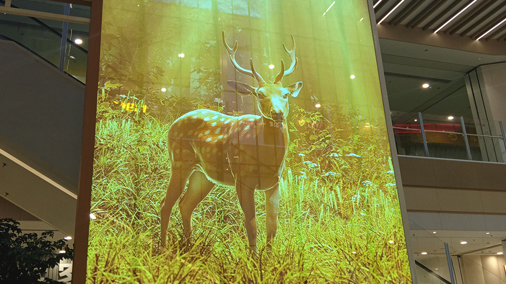 長(zhǎng)沙星沙永旺夢(mèng)樂(lè)城